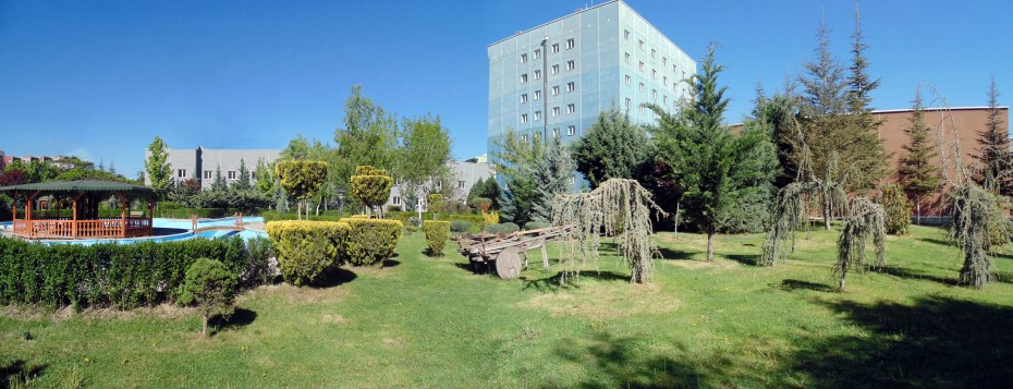 bahçe