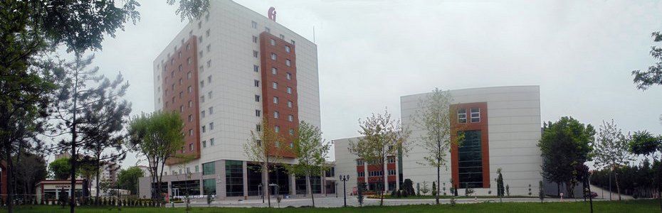 T5
