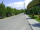 Bahçe