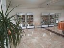Simultane Salonu
